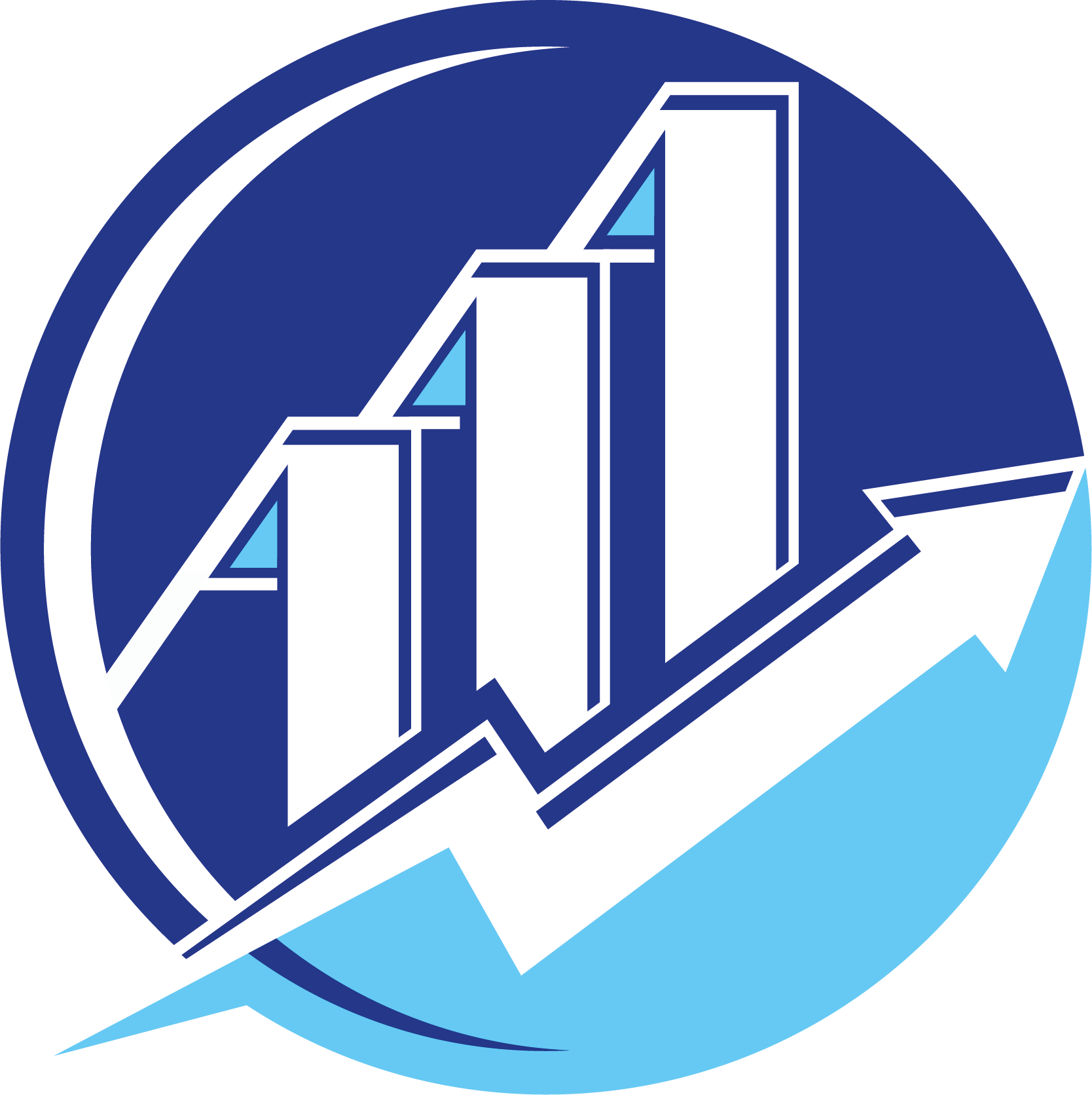 Armas Accounting Assistance